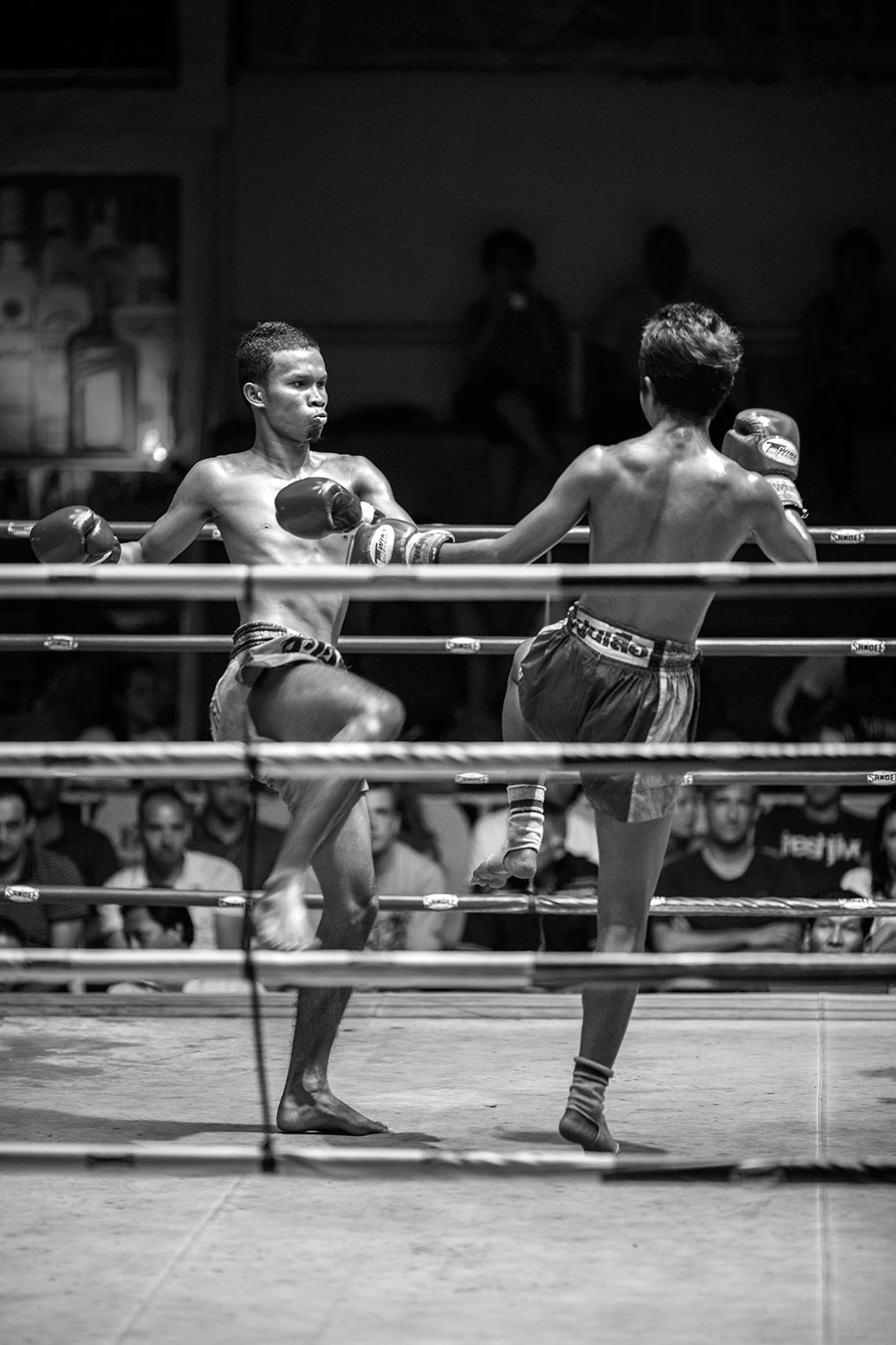 Muay Thai fighters in the rink