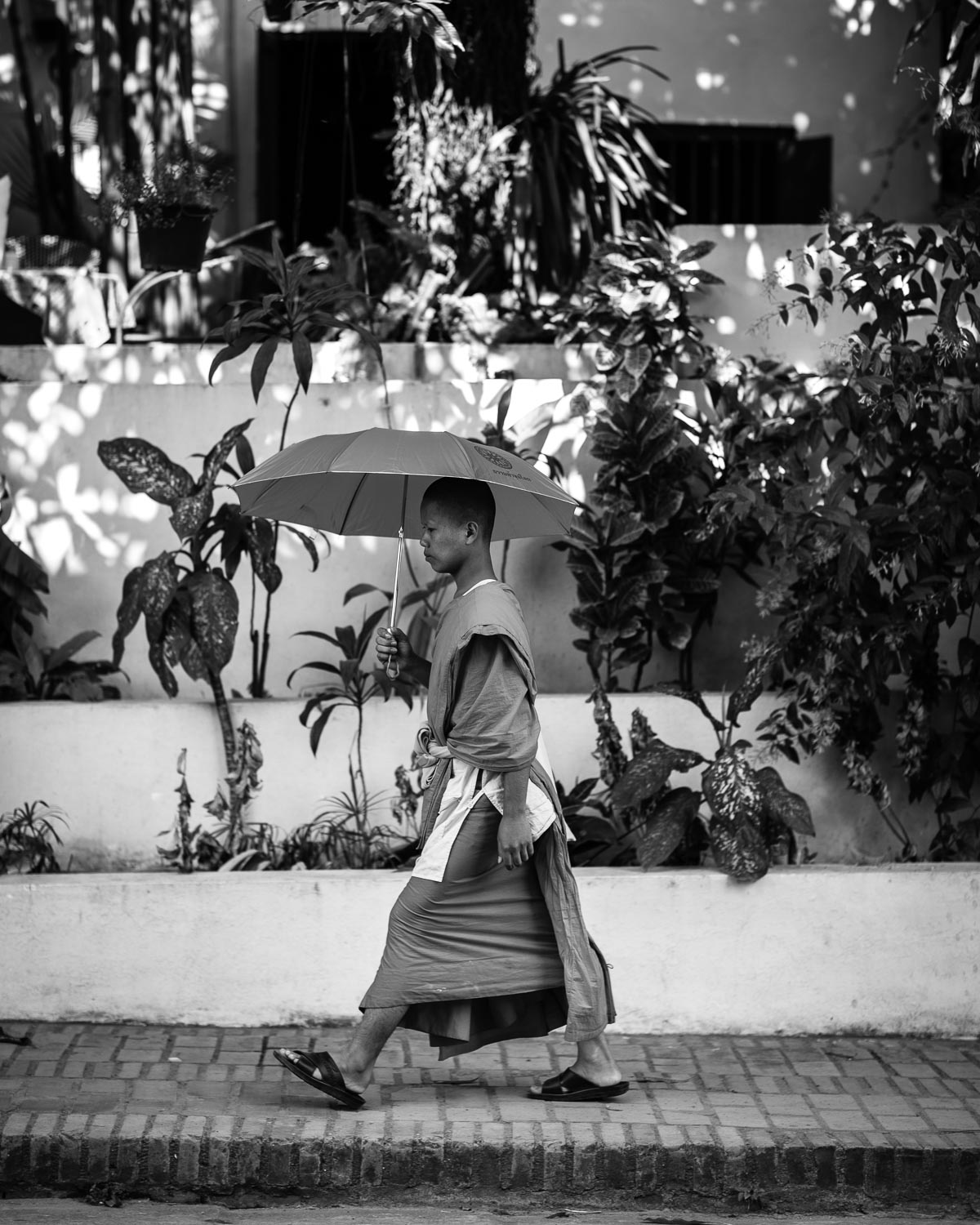 luang prabang monk walking street holding umbrella