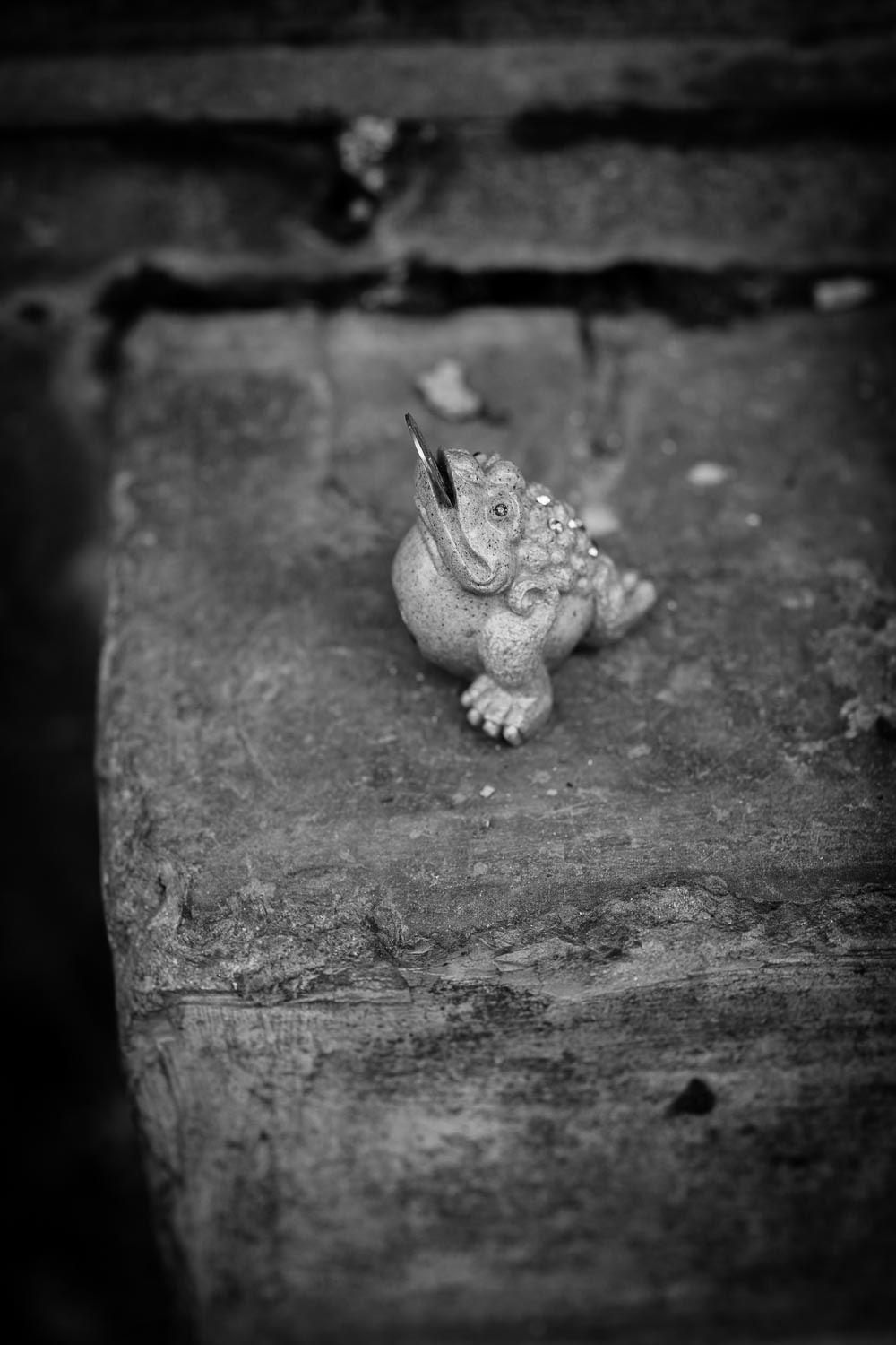 money toad chinese good luck symbol street photography